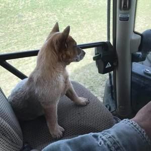 Meet your Posher, Seth